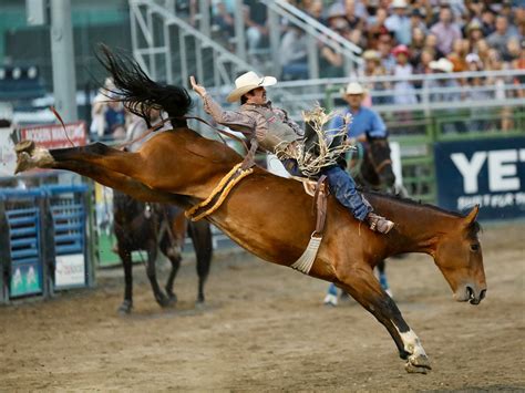 Jackson rodeo - Jackson Hole Rodeo. 447 Snow King Ave. Jackson, WY jacksonholerodeo@gmail.com (307) 733-7927 . Directions. Quick Links. Tickets; VIP Experience; Need to Know ... 